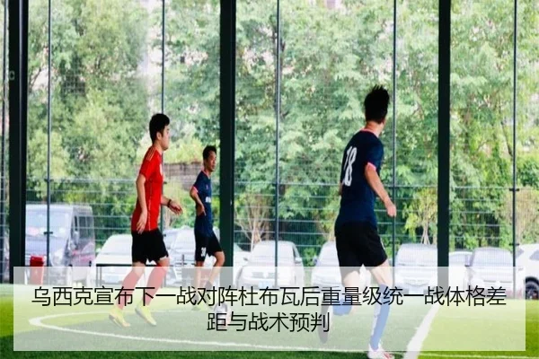 乌西克宣布下一战对阵杜布瓦后重量级统一战体格差距与战术预判